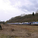 TGV sur la ligne 4