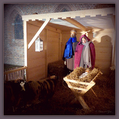 Nativity in Elburg, the Netherlands...