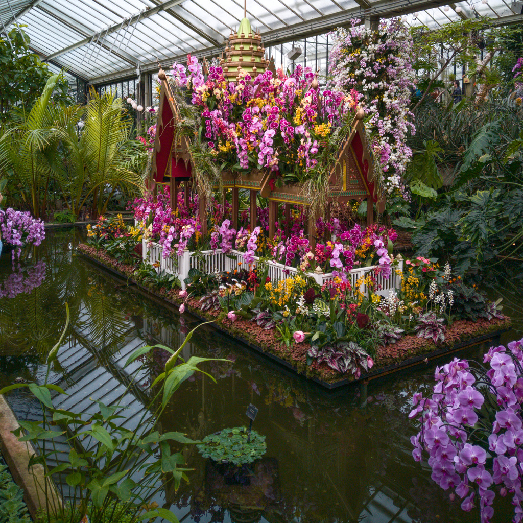 Kew Gardens, Orchid exhibition