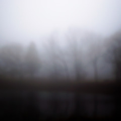 Lakeside Fog 056
