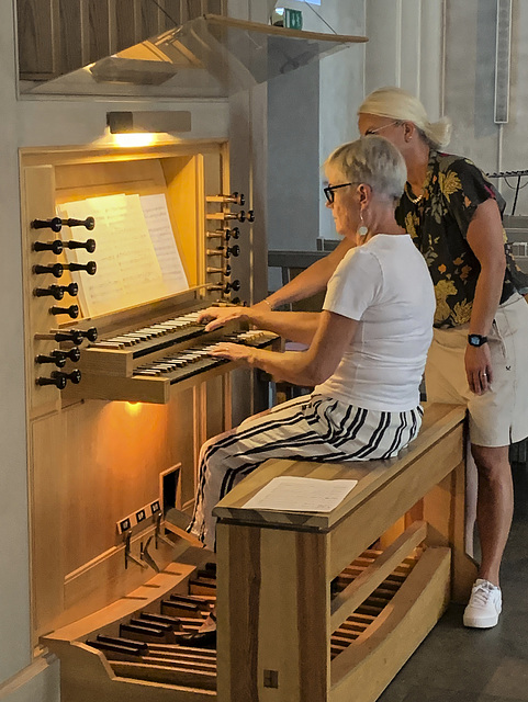 organist, Växjö cathedral