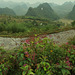 Haut plateaux Vietnam (1)