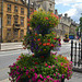 Oxford, Flower Bed on St. Giles'