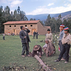 Cortamonte or Yunza in Hualhuas - February 1968