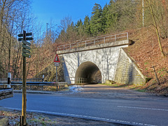 Bahnbrücke der Strecke Dresden-Werdau über den Seerentalweg (see PIP)