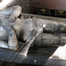 bakewell  church, derbs (44)detail on effigy on tomb of sir thomas wendesley, +1403