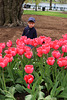 Admiring the tulips