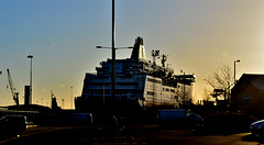 DFDS Seaways ferry to Amsterdam