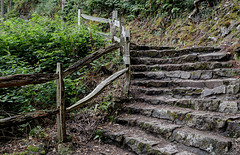 Fence and steps to….the top