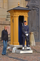The Swedish Guard, the Sentry and the Blonde