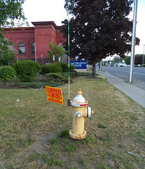 Borne-fontaine carnavalesque / Carnivalesque hydrant