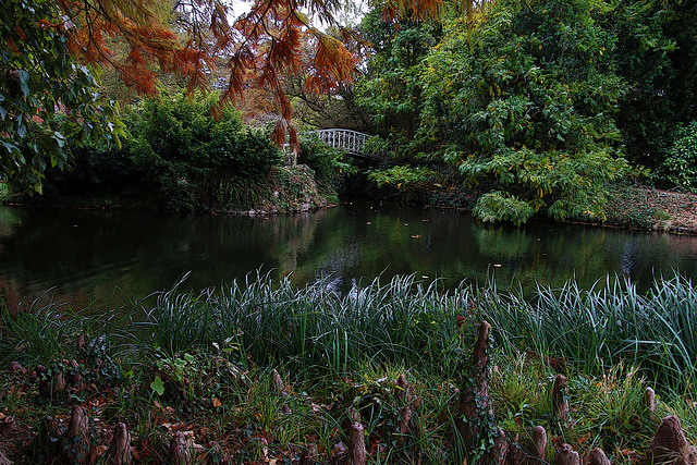 Arboretum de Châtenay-Malabry