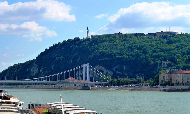 HU - Budapest - Blick zu Elisabethbrücke und Freiheitsmonument