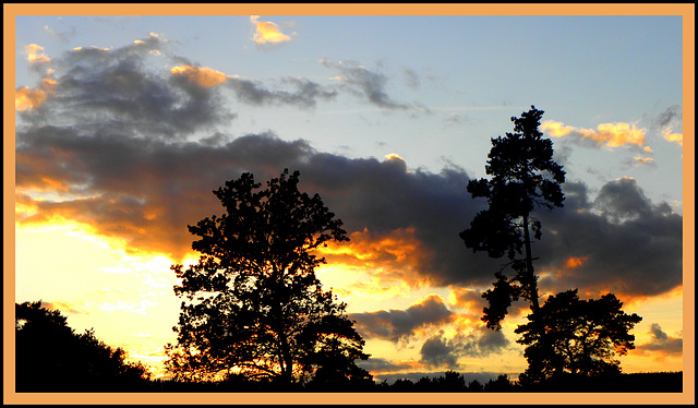 Silhouettes....................(enlarge)