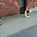 IMG 0588-001-DIY No Parking Cones