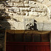 Double linteau dessus de porte à Gordes (Vaucluse)