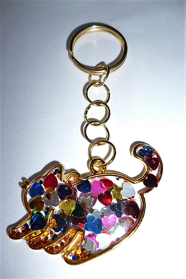 Now this is an all coloured cat keyring