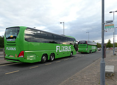Whippet Coaches (Flixbus contractor) FX33 and FX29 at Trumpington - 23 Jul 2022 (P1120737)