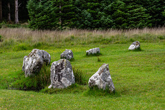 Fernwerthy Stone Circle - 20230809- DSC9693