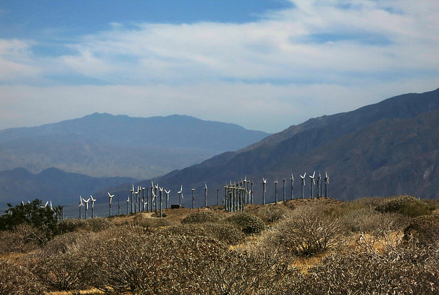 Coachella Valley Wind Turbines (0432)