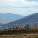 Coachella Valley Wind Turbines (0435)