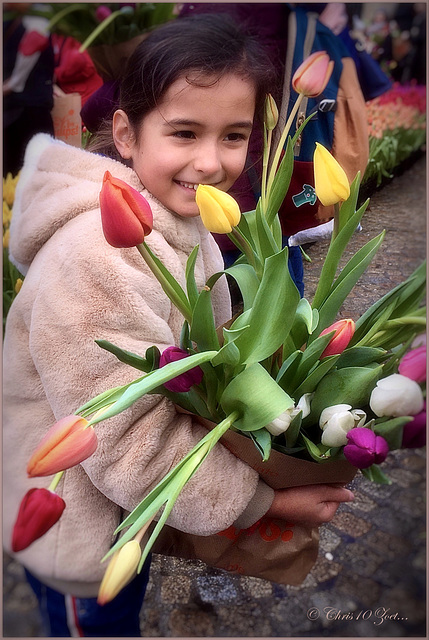 Tulips in Amsterdam... 1