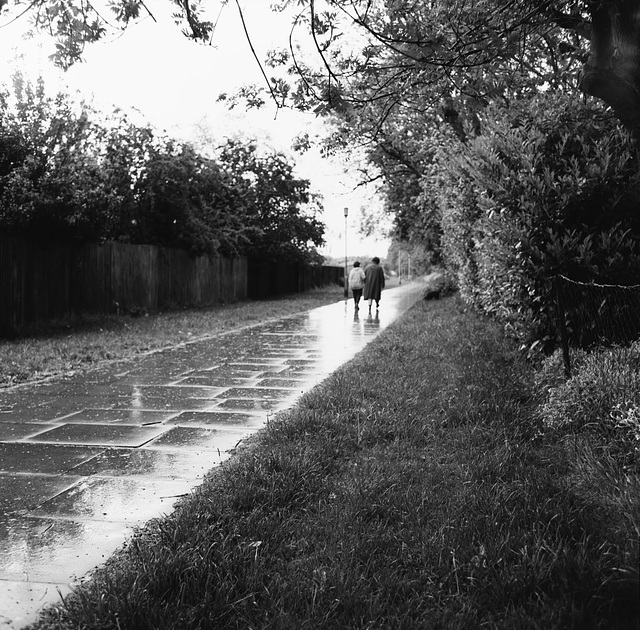 Shrubbery Walk Basingstoke, 1981