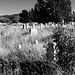 Hill Cemetery, Modoc Point