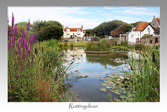 Rottingdean pond - The City of Brighton & Hove - 5.8.2015