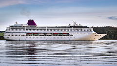 Cruise Ship "Ambition"