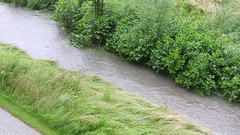 Yesterday a brook-Today a River after thunderstorm