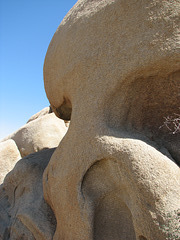 Skull Rock at Joshua Tree National Park