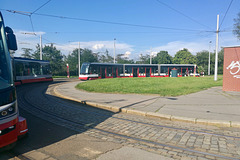 Prague 2019 – Divoká Sárka loop