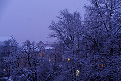 20.02.27 Schnee in Darmstadt