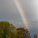 A rainbow on the way to Burton Mere