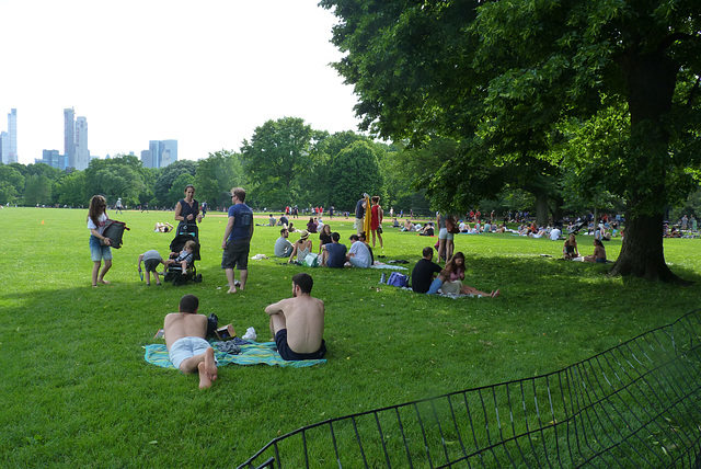 El parque está super limpio, ni una caca de perro. Así se pueden sentar la gente con la tranquilidad de saber que no hay mierda de pèrros en el cesped