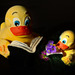 book-ducks are looking for spring