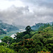 Sri Lanka tour - the fifth day, Mahaweli River flowing through Kandy