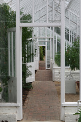 Restored Victorian greenhouses