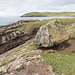 Gneiss erratic on Bay of Stoer Formation at Sgèir na Tràghad 1