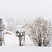 P1340619- Belle neige - 04 décembre 2020.  Jardin