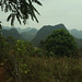 Haut plateaux Vietnam (16)