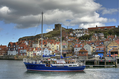 Whitby whale watching boat "SPECKSIONEER" heads for the sea