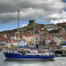 Whitby whale watching boat "SPECKSIONEER" heads for the sea