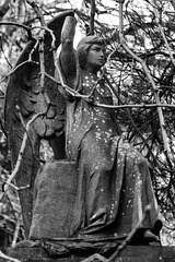 Angel, Cathcart Cemetery, East Renfrewshire