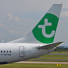 Tails of the airways. Transavia France