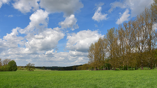 Landschaft bei Sponholz (2)