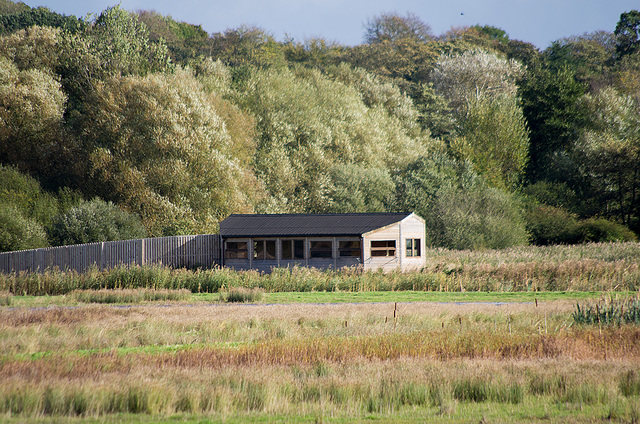 Another of Burton Mere  's hides