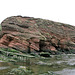 Old Red Sandstone cliffs, Whiting Ness, Arbroath, Scotland