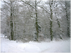 Während eines Schneegestöbers / During a snow flurry